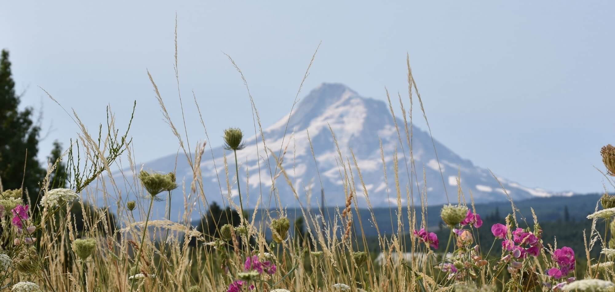 Scenic image of mountains Oregon.